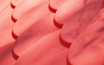 Borras plastic roof costs