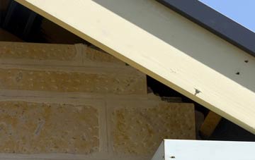 soffit repair Borras